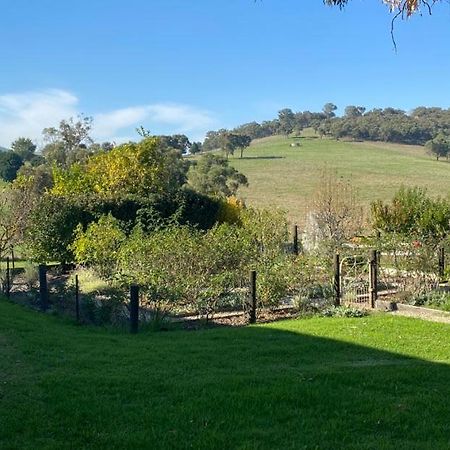 Apartamento Mount Hope Estate Vineyard Dixons Creek Exterior foto