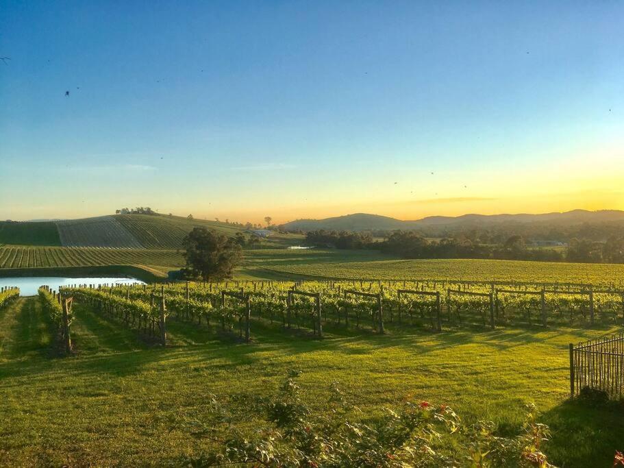 Apartamento Mount Hope Estate Vineyard Dixons Creek Exterior foto